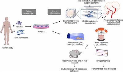 Applying hiPSCs and Biomaterials Towards an Understanding and Treatment of Traumatic Brain Injury